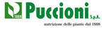 puccioni